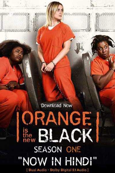 Download Orange Is the New Black (Season 01-07) {Hindi-English} NetFlix WEB Series 480p | 720p BluRay ESub Download Orange Is the New Black (Season 01-07) {Hindi-English} NetFlix WEB Series 480p | 720p BluRay ESub