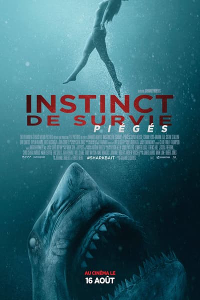 Download 47 Meters Down: Uncaged (2019) Dual Audio {Hindi-English} Movie 480p | 720p | 1080p BluRay 400MB | 900MB