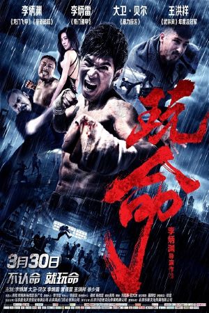 Download Defying Chase (2018) Dual Audio {Hindi-Chinese} Movie 480p | 720p WEB-DL