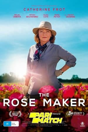 Download Entre Rosas (2021) Dual Audio {Hindi (HQ)-Spanish} Movie 720p CAMRip 800MB