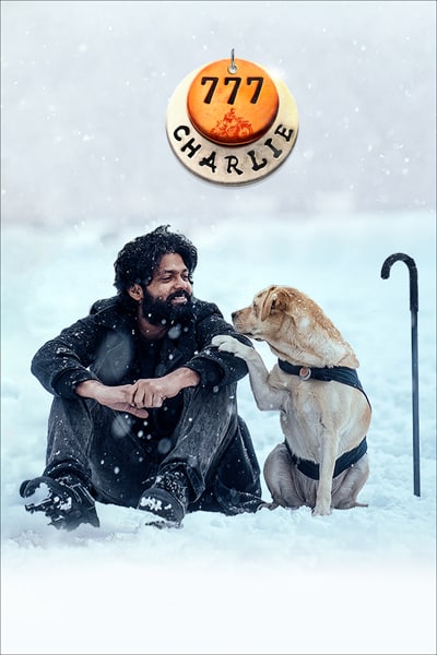 Download 777 Charlie (2022) Dual Audio {Hindi-Kannada} Movie 480p | 720p | 1080p WEB-DL ESub