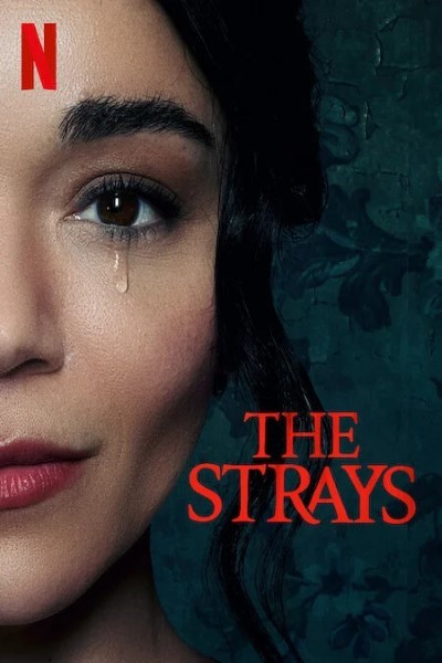 Download The Strays (2023) Dual Audio {Hindi-English} Movie 480p | 720p | 1080p WEB-DL ESubs Download The Strays (2023) Dual Audio {Hindi-English} Movie 480p | 720p | 1080p WEB-DL ESubs