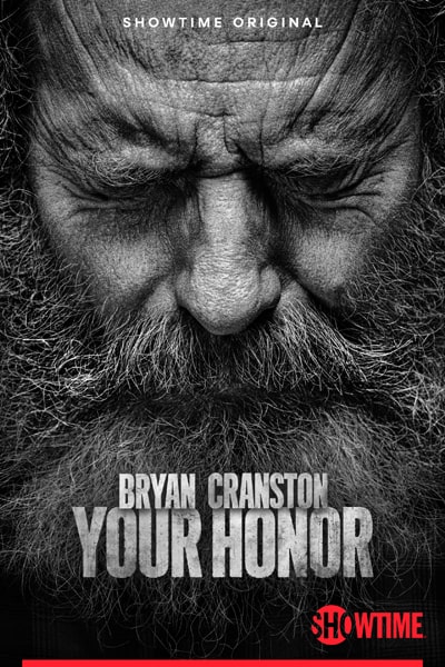 Download Your Honor (Season 1 – 2) Dual Audio {Hindi-English} ShowTime WEB Series 480p | 720p | 1080p WEB-DL ESub