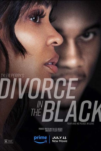 Download Tyler Perry’s Divorce in the Black (2024) Dual Audio {Hindi-English} Movie 480p | 720p | 1080p WEB-DL ESub