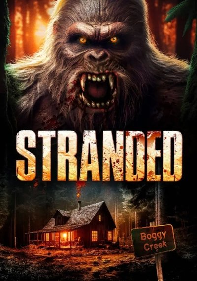 Download Stranded (2023) Dual Audio [Hindi-English] Movie 480p | 720p | 1080p WEB-DL ESub