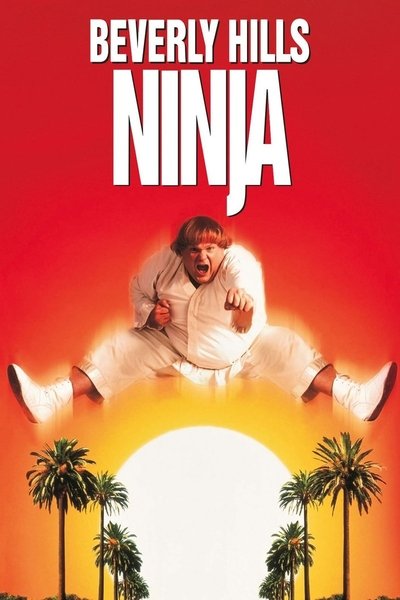 Download Beverly Hills Ninja (1997) Dual Audio [Hindi-English] Movie 480p | 720p | 1080p BluRay ESub